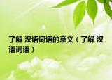 了解 汉语词语的意义（了解 汉语词语）