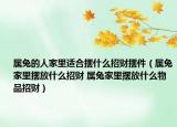 属兔的人家里适合摆什么招财摆件（属兔家里摆放什么招财 属兔家里摆放什么物品招财）