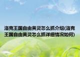 洛克王国自由黄灵怎么抓介绍(洛克王国自由黄灵怎么抓详细情况如何)