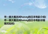 寻一部大概名叫honey的日本电影介绍(寻一部大概名叫honey的日本电影详细情况如何)
