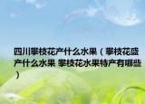 四川攀枝花产什么水果（攀枝花盛产什么水果 攀枝花水果特产有哪些）