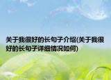 关于我很好的长句子介绍(关于我很好的长句子详细情况如何)