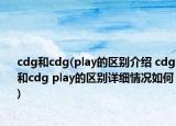 cdg和cdg(play的区别介绍 cdg和cdg play的区别详细情况如何)