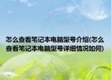 怎么查看笔记本电脑型号介绍(怎么查看笔记本电脑型号详细情况如何)