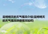 昆明明天的天气情况介绍(昆明明天的天气情况详细情况如何)