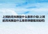 上班的月光族是什么意思介绍(上班的月光族是什么意思详细情况如何)