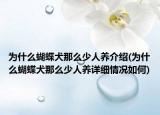 为什么蝴蝶犬那么少人养介绍(为什么蝴蝶犬那么少人养详细情况如何)