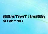 感慨过年了的句子（过年感慨的句子简介介绍）