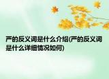严的反义词是什么介绍(严的反义词是什么详细情况如何)