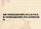 成都三泰控股集团股份有限公司怎么样介绍(成都三泰控股集团股份有限公司怎么样详细情况如何)