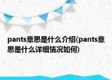 pants意思是什么介绍(pants意思是什么详细情况如何)