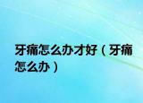 牙痛怎么办才好（牙痛怎么办）