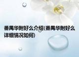 番禺华附好么介绍(番禺华附好么详细情况如何)
