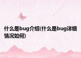 什么是bug介绍(什么是bug详细情况如何)
