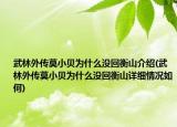 武林外传莫小贝为什么没回衡山介绍(武林外传莫小贝为什么没回衡山详细情况如何)