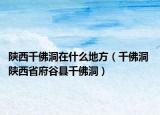 陕西千佛洞在什么地方（千佛洞 陕西省府谷县千佛洞）
