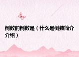 倒数的倒数是（什么是倒数简介介绍）