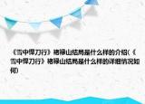 《雪中悍刀行》褚禄山结局是什么样的介绍(《雪中悍刀行》褚禄山结局是什么样的详细情况如何)