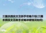 三国杀颜良文丑新手攻略介绍(三国杀颜良文丑新手攻略详细情况如何)