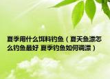 夏季用什么饵料钓鱼（夏天鱼漂怎么钓鱼最好 夏季钓鱼如何调漂）