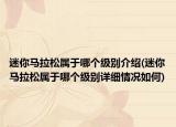 迷你马拉松属于哪个级别介绍(迷你马拉松属于哪个级别详细情况如何)