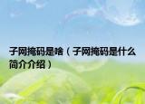 子网掩码是啥（子网掩码是什么简介介绍）