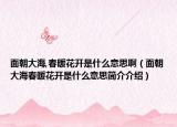 面朝大海,春暖花开是什么意思啊（面朝大海春暖花开是什么意思简介介绍）