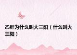 乙肝为什么叫大三阳（什么叫大三阳）