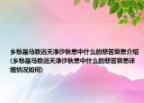 乡愁是马致远天净沙秋思中什么的悲苦哀思介绍(乡愁是马致远天净沙秋思中什么的悲苦哀思详细情况如何)