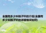 全国有多少叫杨子轩的介绍(全国有多少叫杨子轩的详细情况如何)