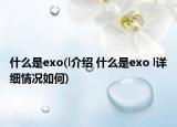 什么是exo(l介绍 什么是exo l详细情况如何)