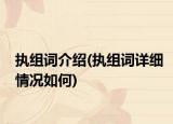 执组词介绍(执组词详细情况如何)