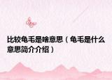 比较龟毛是啥意思（龟毛是什么意思简介介绍）