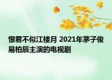 恨君不似江楼月 2021年茅子俊易柏辰主演的电视剧