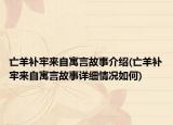 亡羊补牢来自寓言故事介绍(亡羊补牢来自寓言故事详细情况如何)