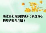 表达真心真意的句子（表达真心的句子简介介绍）