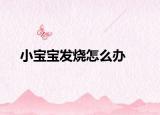 小宝宝发烧怎么办