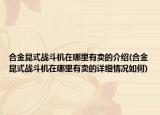 合金昆式战斗机在哪里有卖的介绍(合金昆式战斗机在哪里有卖的详细情况如何)