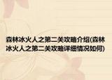 森林冰火人之第二关攻略介绍(森林冰火人之第二关攻略详细情况如何)
