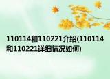 110114和110221介绍(110114和110221详细情况如何)