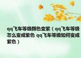 qq飞车等级颜色变紫（qq飞车等级怎么变成紫色 qq飞车等级如何变成紫色）
