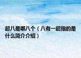 超八是哪八个（八有一超指的是什么简介介绍）