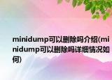 minidump可以删除吗介绍(minidump可以删除吗详细情况如何)