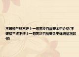 不破楼兰终不还上一句黄沙百战穿金甲介绍(不破楼兰终不还上一句黄沙百战穿金甲详细情况如何)