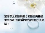 室内怎么去除螨虫（去除室内的螨虫的方法 去除室内的螨虫的方法是啥）