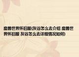 魔兽世界怀旧服(灰谷怎么去介绍 魔兽世界怀旧服 灰谷怎么去详细情况如何)