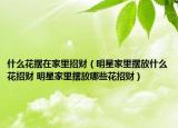 什么花摆在家里招财（明星家里摆放什么花招财 明星家里摆放哪些花招财）