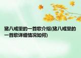 猪八戒里的一首歌介绍(猪八戒里的一首歌详细情况如何)