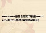 username是什么意思?介绍(username是什么意思?详细情况如何)