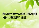 国lv(国v)是什么意思（国v和国lv有什么区别简介介绍）